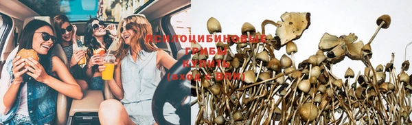 МДПВ Абаза