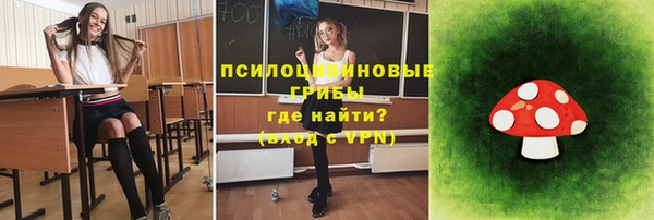МДПВ Абаза